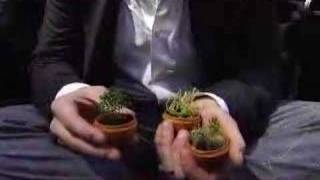 DuneCraft Product Demo: Micro-Terrariums