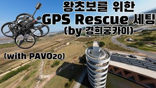 GPS rescue setting for PAVO20, PAVO20 Pro, PAVO PICO