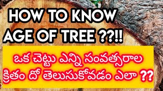 How to know THE AGE of TREE ??? || ఒక చెట్టు ఎన్ని సంవత్సరాల క్రితం దో తెలుసుకోవడం ఎలా ??!!