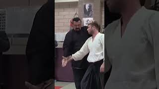 Steven Seagal Aikido Techniques - Aikido for real fight