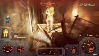 Fallout 76_暗号解読　カルト教の預言者　ほぼノーダメージにする方法