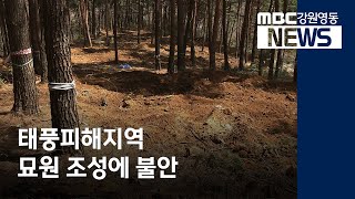 [뉴스리포트] 태풍피해지역 묘원 조성에 불안 210418