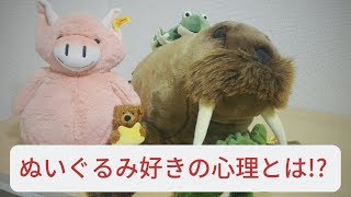 ぬいぐるみ好きの心理背景を解説