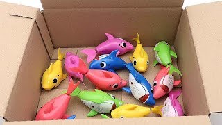 15 Shark Family In Surprise Box - Baby Shark Transformer Sea Animals Toys For Kids 아기상어 가족