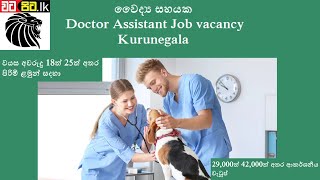 වෛද්‍ය සහයක | Doctor Assistant Job vacancy Kurunegala | Sri lanka | Watapita.lk