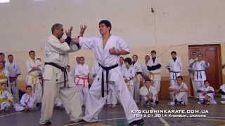 Highlight Bunkai Kata - Winter Kyokushin Camp with Shihan Vsevolodov Sergei (IKO-1)