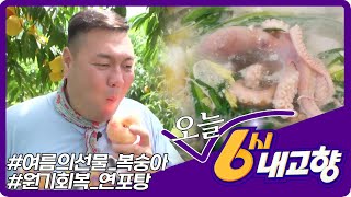 [2022년 8월 9일 화요일 미리보기] | KBS 방송