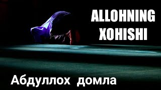 Abdulloh Domla - ALLOHNING XOHISHI