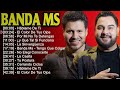 top 100 artists to listen in 2024 ~ banda ms ~ 10 grandes exitos