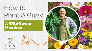 Tutorial on Planting \u0026 Growing A Wildflower Meadow