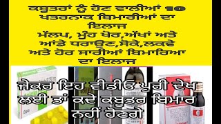 ਕਬੂਤਰਾ ਨੂੰ ਹੋਣ ਵਾਲੀਆ 10 ਖਤਰਨਾਕ ਬਿਮਾਰੀਆਂ ਮੱਲਪ,ਸੋਕਾ,ਮੂੰਹ ਖੋਰ,ਅੱਖਾਂ, ਜ਼ੁਕਾਮ,ਰੇਸ਼ਾ|ਸਾਰੀਆਂ ਬਿਮਾਰੀਆਂ ਦਾ ਇਲਾਜ