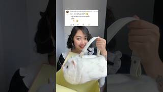 UNBOXING KUCING LAGI 🥳 | Klara Tania #shorts