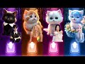 Cute Cats Dance | Wednesday Bloody Mary |  Shakira Waka Waka | Jisoo Flower | Elsa Enemy | Cat Games