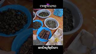 ຕະຫຼາດລາວ ตลาดลาวเวียงจันทน์ ตลาดที่ใหญ่ที่สุดในลาว ของขายเยอะมาก!!