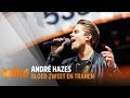 André Hazes - Bloed, Zweet & Tranen | Live op 538Koningsdag 2017