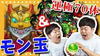 【モンスト】星5確定モン玉ガチャ＆クシナダ運極で70体目の運極達成【GameMarket】