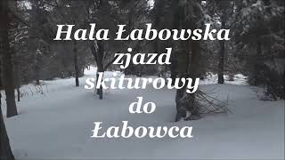 Hala Łabowska zjazd skiturowy do Łabowca