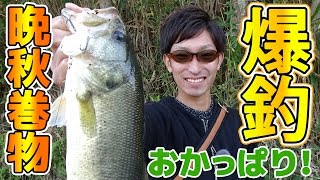 【バス釣り】巻物爆釣！晩秋のため池でおかっぱり！モガミバイブ