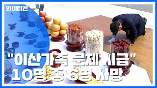 이산가족 10명 중 6명 사망...문 대통령 \