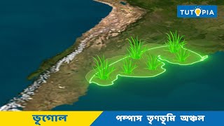 পম্পাস তৃণভূমি অঞ্চল - Pampas region | দক্ষিণ আমেরিকা - South America | Class 8 Geography | Tutopia