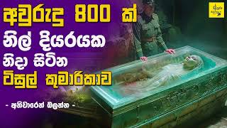 දියරයක්  තුළ අවුරුදු 800 ක් නිදා සිටින ටිසුල් කුමාරිකාව | Princess Tissul sleeping in a blue liquid