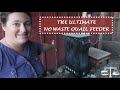 The Ultimate No Waste Quail Feeder