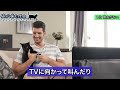 【完全版】猫が噛む本当の理由を獣医師が解説します