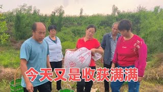 摘完酸枣回家，母亲做一锅山韭菜花炝疙瘩汤，还是儿时的味道真香