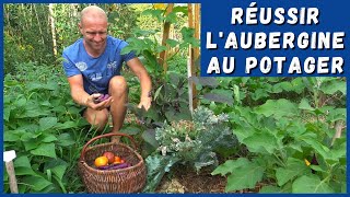 RÉUSSIR L'AUBERGINE AU POTAGER (ou pas !)