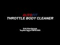 AUTOFIT Engine Conditioner & Throttle Body Cleaner