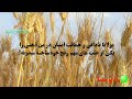 رنج از نگاه مولانا؟ چرا در زندگی دچار رنج می شویم⁉️ جلسه ۴ معنای زندگی با مولانا rumi