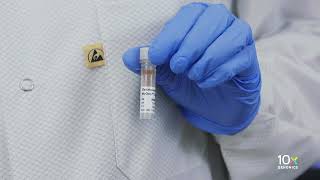 Single Cell Immune Profiling HT Protocol v2 | Getting Started