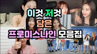 이것 저것 담은 프로미스나인 모음집