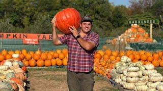 Huge Pumpkin Harvest!