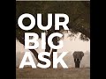ZEF'S BIG ASK