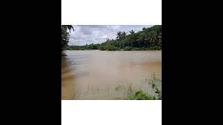 guys മഴ കൊണ്ടാണ്  നമ്മൾ വീഡിയോ ഒന്നും ഇടാത്തത് 🌧️ അവിടെ മഴ ഉണ്ടെങ്കിൽ ഒന്ന് കമന്റ് ചെയ്യൂ🌧️🌦️☔️