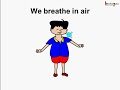 science what is air english