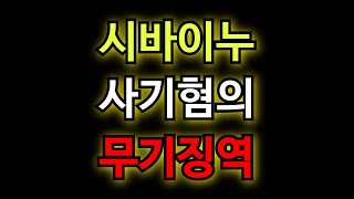 [시바이누 사기] 충격적인 속보 \