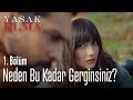 Neden bu kadar gerginsiniz? - Yasak Elma 1. Bölüm