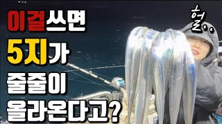 갈치낚시 이미끼가 최고라구요??