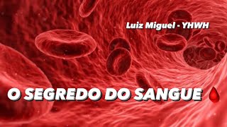 O PROFUNDO SIGNIFICADO DO SANGUE