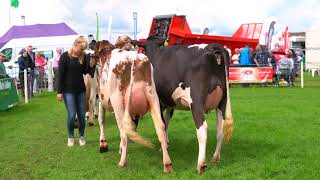 Logan Sid Edie-Champion Holstein at 2017 Dumfries \u0026 Lockerbie Show