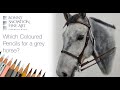 Which Coloured Pencils to Use for a Grey Horse | Colour Recipes