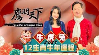 《2021鷹明天下》EP 3: 生肖牛，虎，兔 之 2021牛年運程 | Fengshui with Eagle Wong - Ox, Tiger, Rabbit【天下衛視 Sky Link TV】