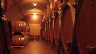 SPERI WINERY - VERONA - ITALY