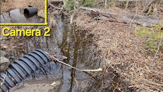 Unclogging Culvert Pipe And Exploring With Massive SinkHoles