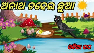 ଅନାଥ ଛୁଆ|Anatha Chua|Tiki Chadhei Odia Bird's Stories|NewCartoonStory|Odia Gapa|Niki Cartoon Story|