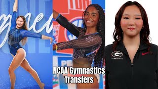 NCAA Gymnastics Transfers for the 2025 Season