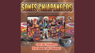 Al Son De Chiapas