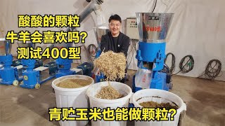 青贮秸秆也能做颗粒？酸酸的颗粒牛羊真的喜欢吗？测试400颗粒机